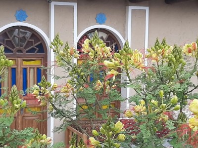 اقامتگاه بومگردی رویای کویر اتاق "مهمان خانه"