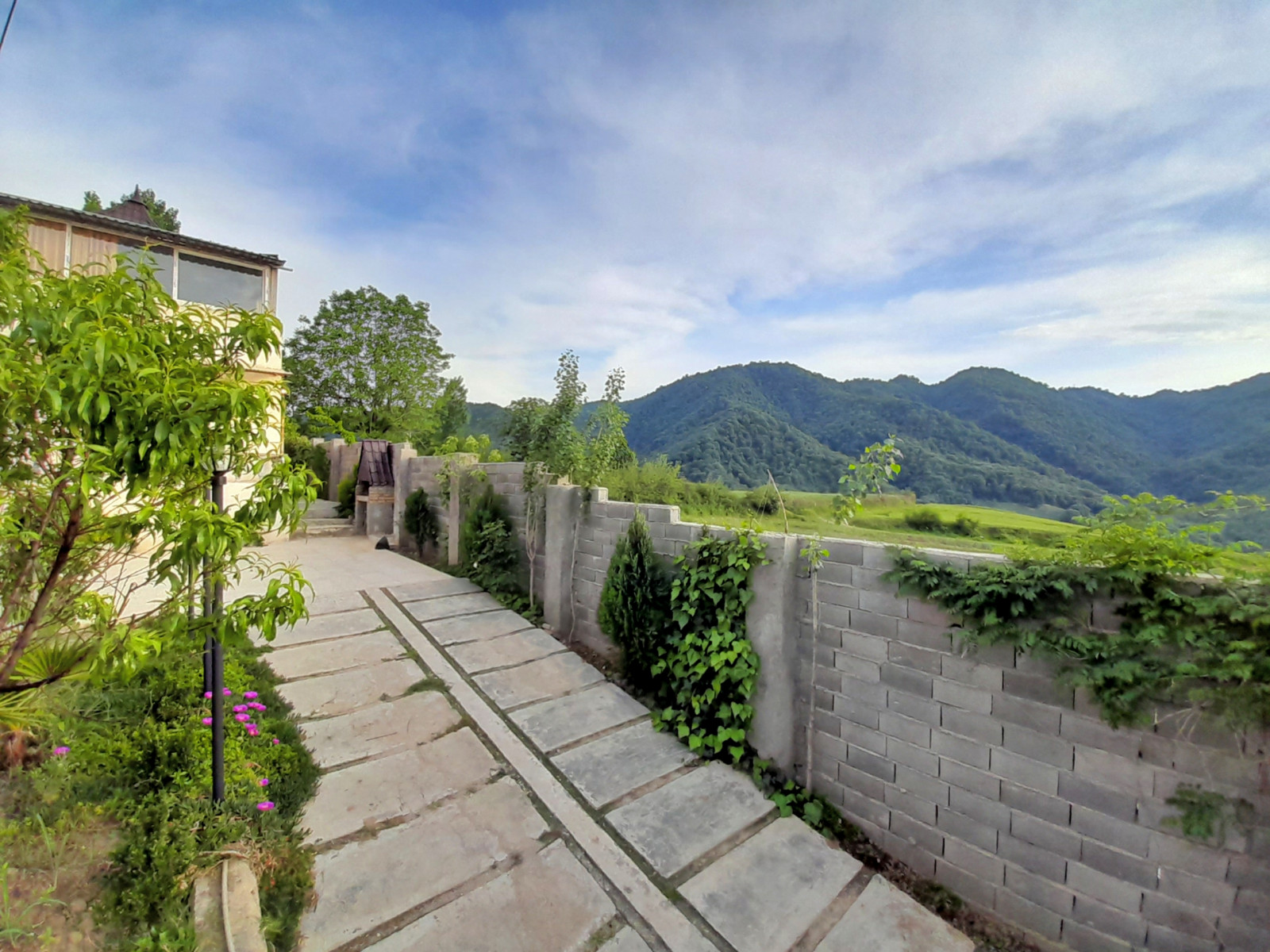 حیاط و پارکینگ