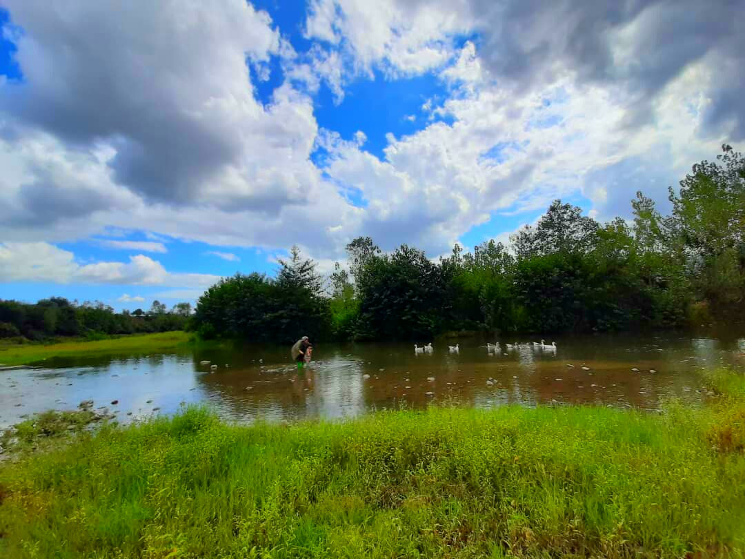 محوطه محوطه