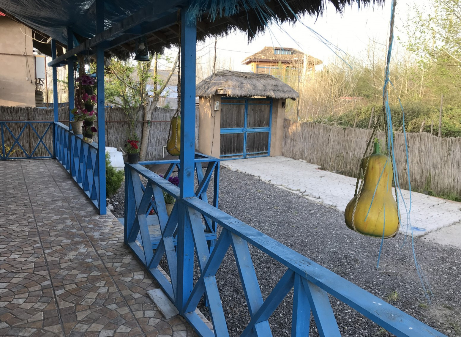 تراس و حیاط