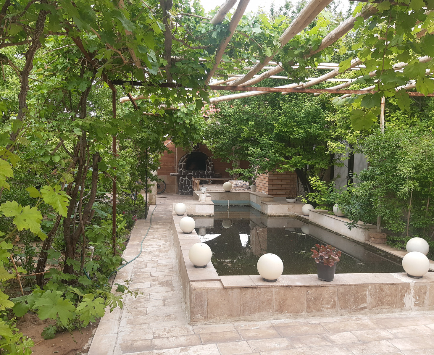حیاط