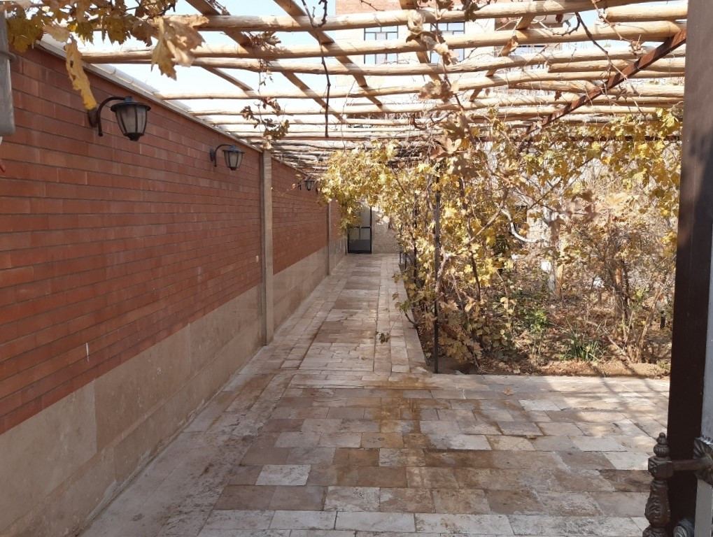 حیاط
