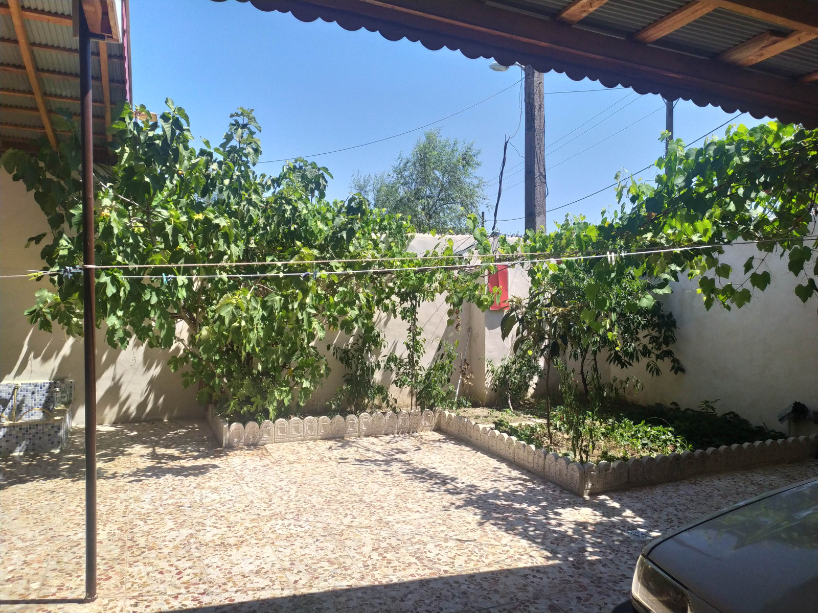 حیاط حیاط
