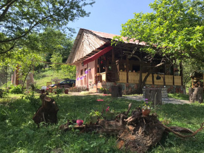 کلبه‌ی سنتی در روستای خاصکولِ توتکابن