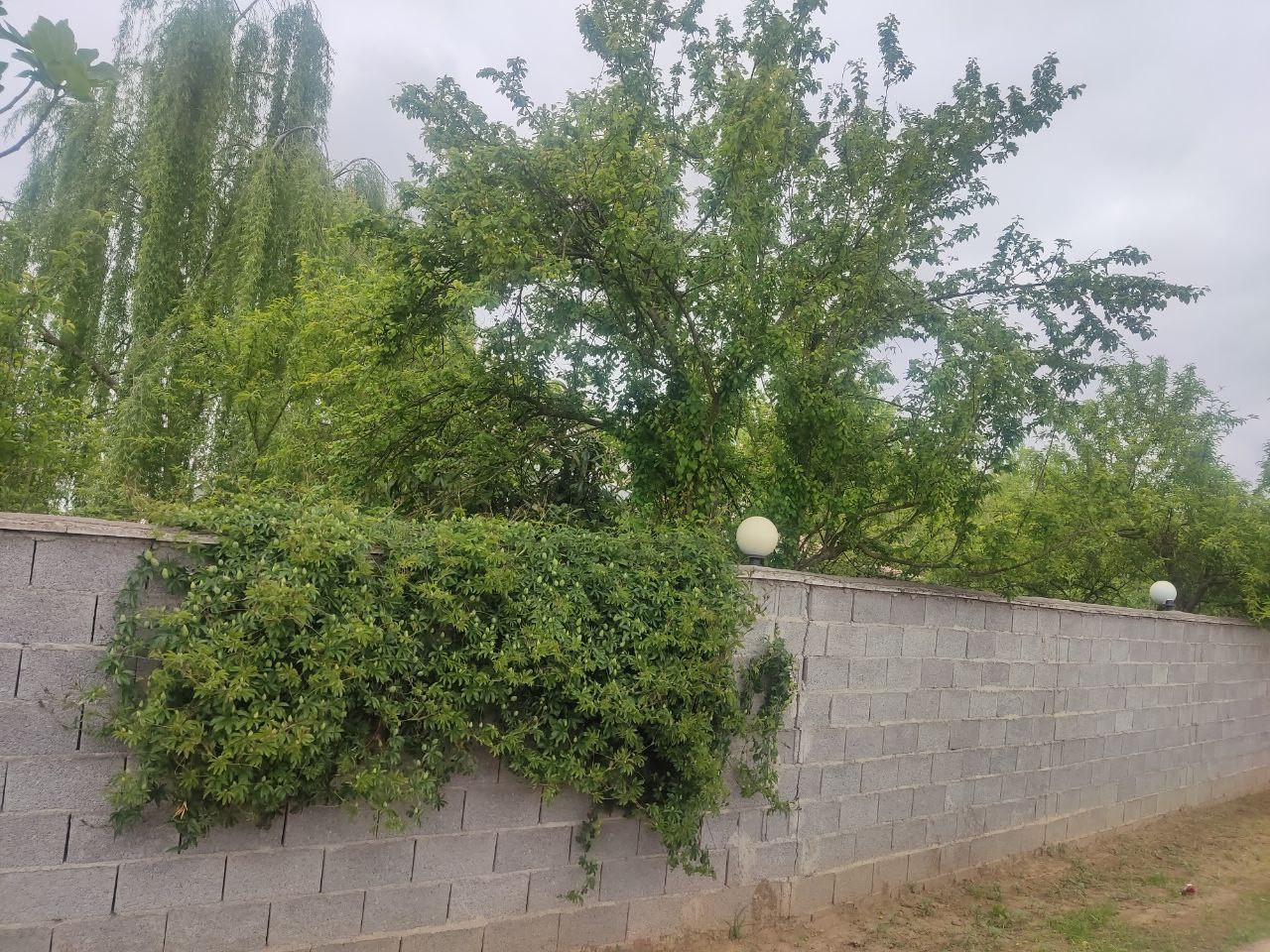 نمای بیرون
