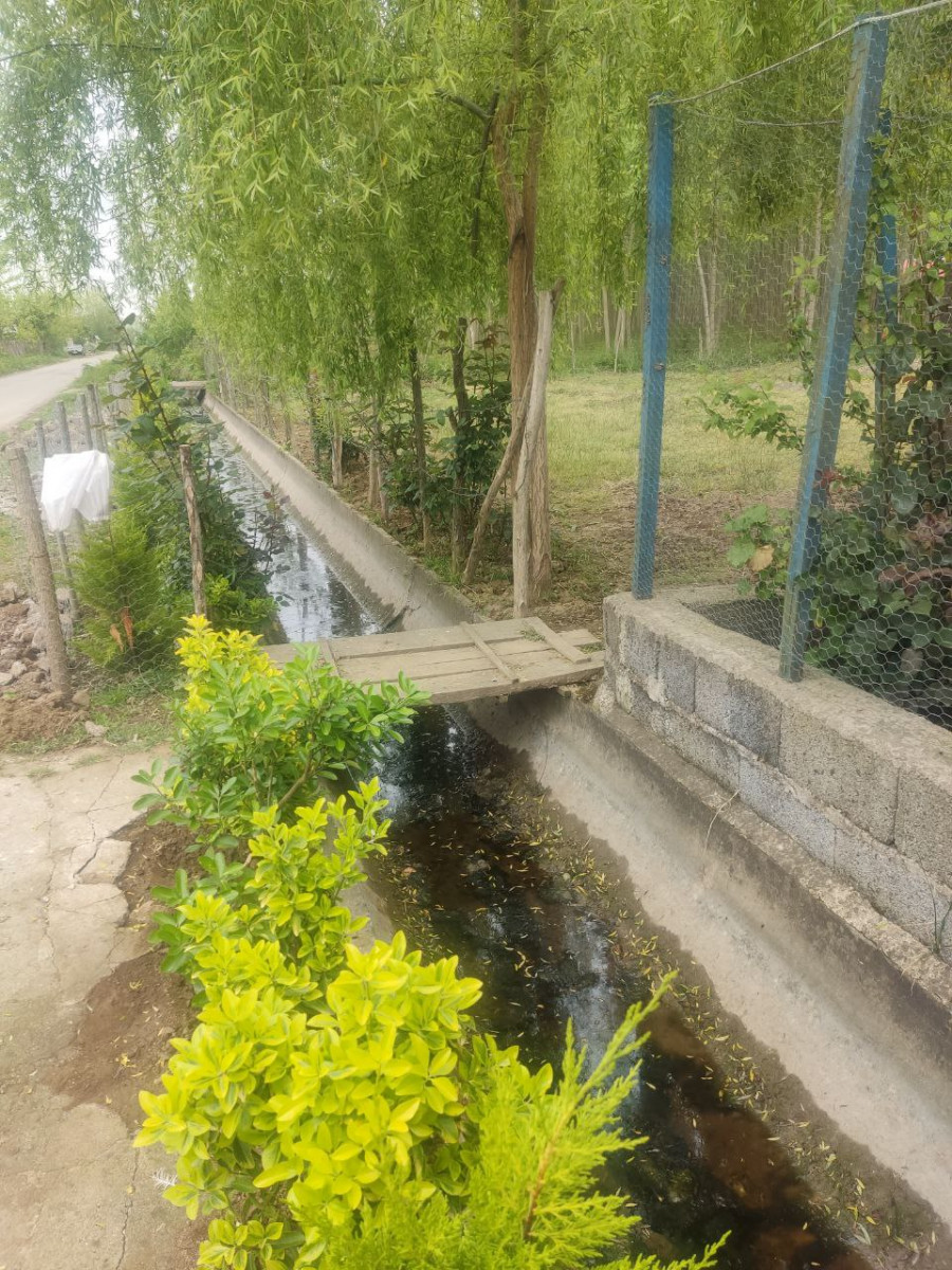 بیرون