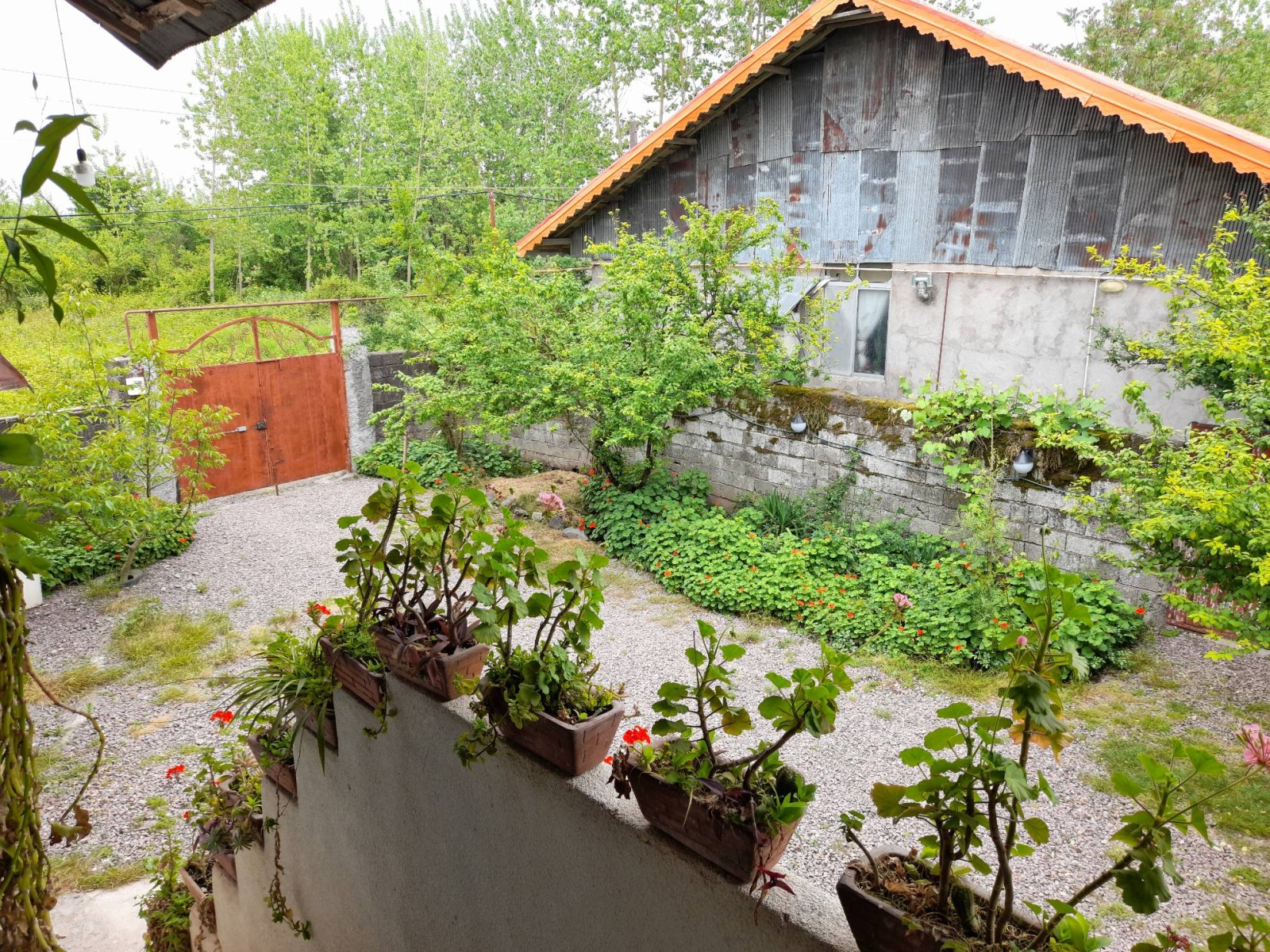 نمای از حیاط از بالای اقامتگاه