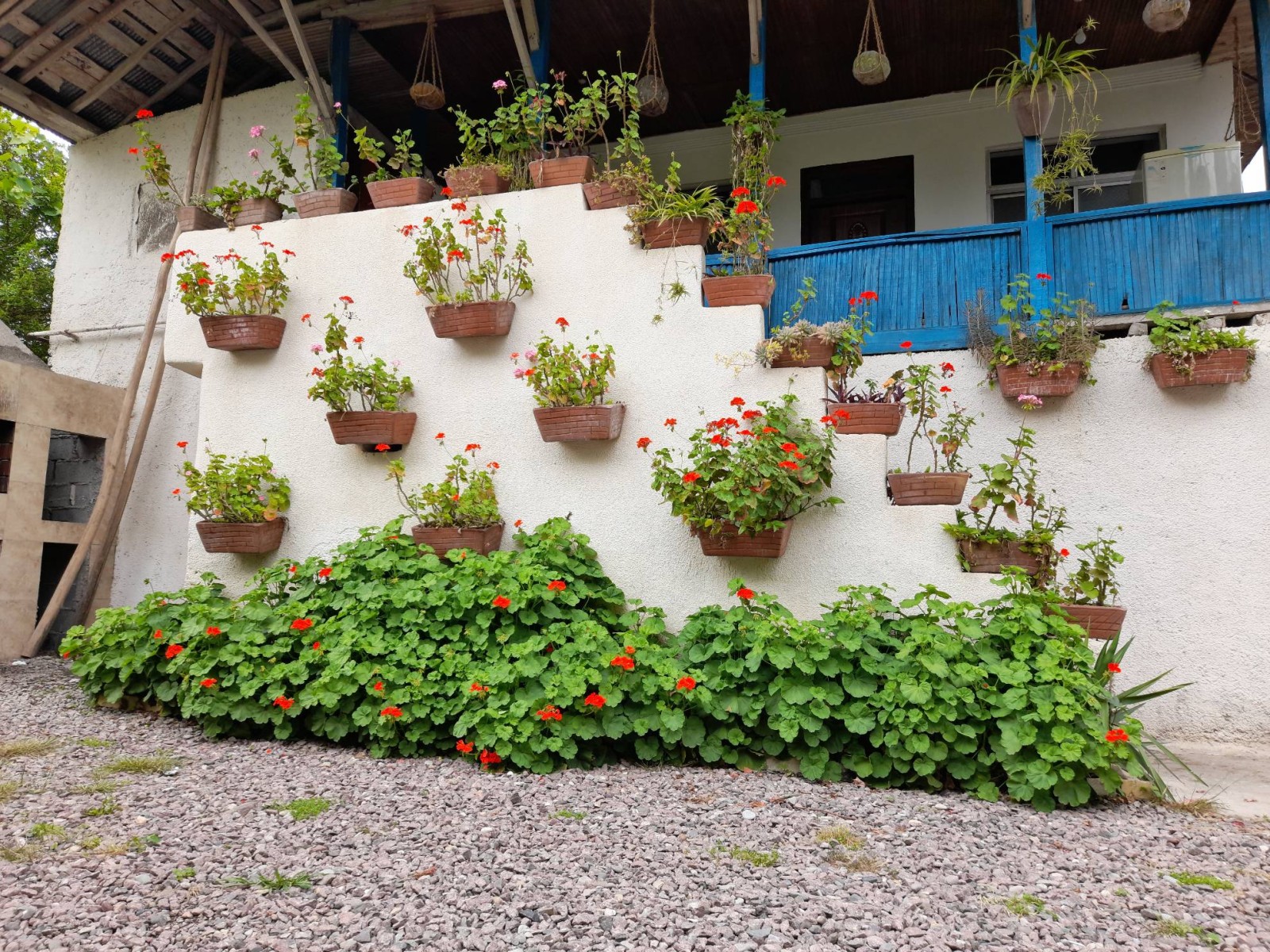 نمای بیرونی ساختمان با گلهای زیبا