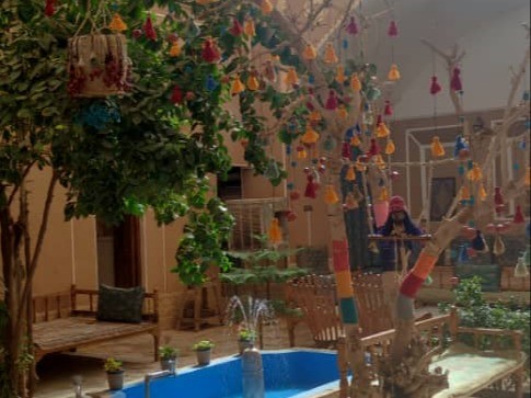درخت اروزه ها