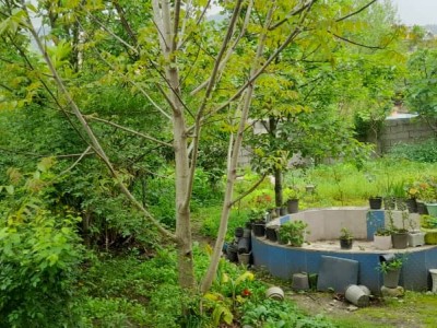 ویلا آلاچیق دار سعید