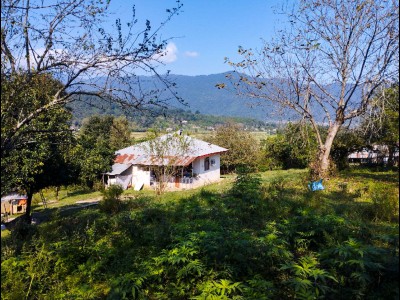 ویلا جنگلی دو خواب آبان 2