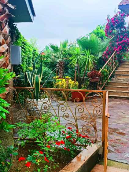 حیاط حیاط