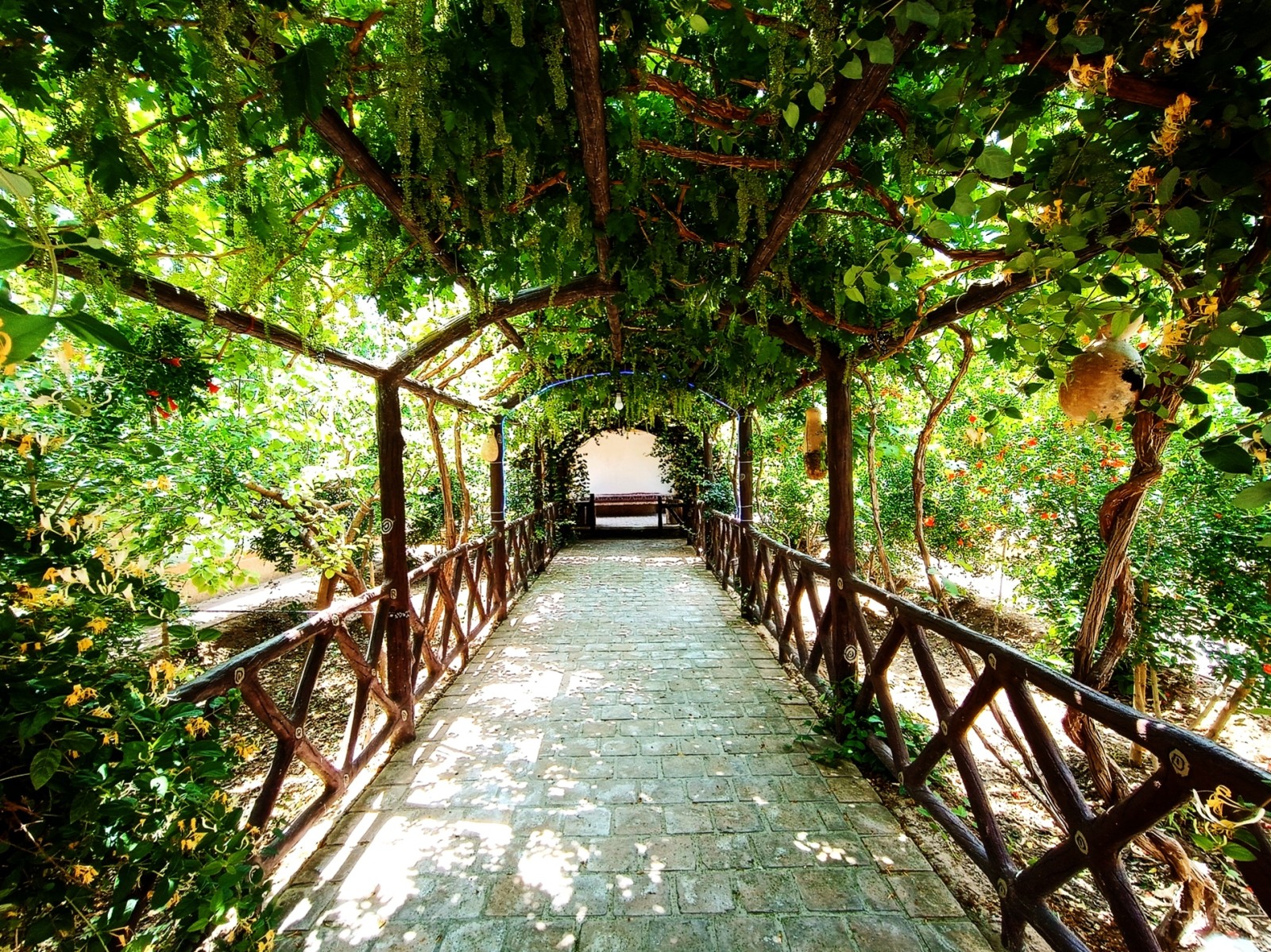 تالار انگور