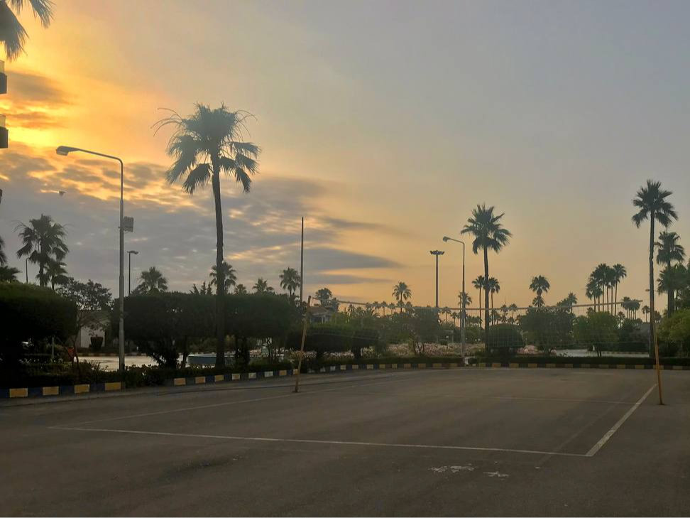 زمین والیبال