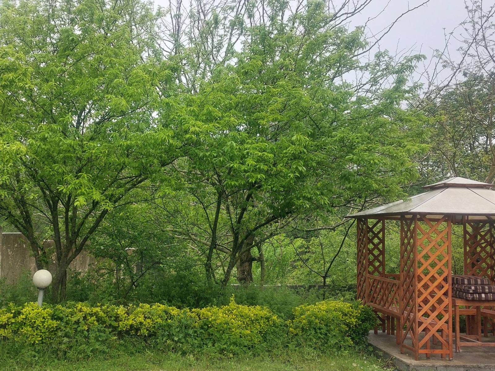 نمای بیرونی ساختمان