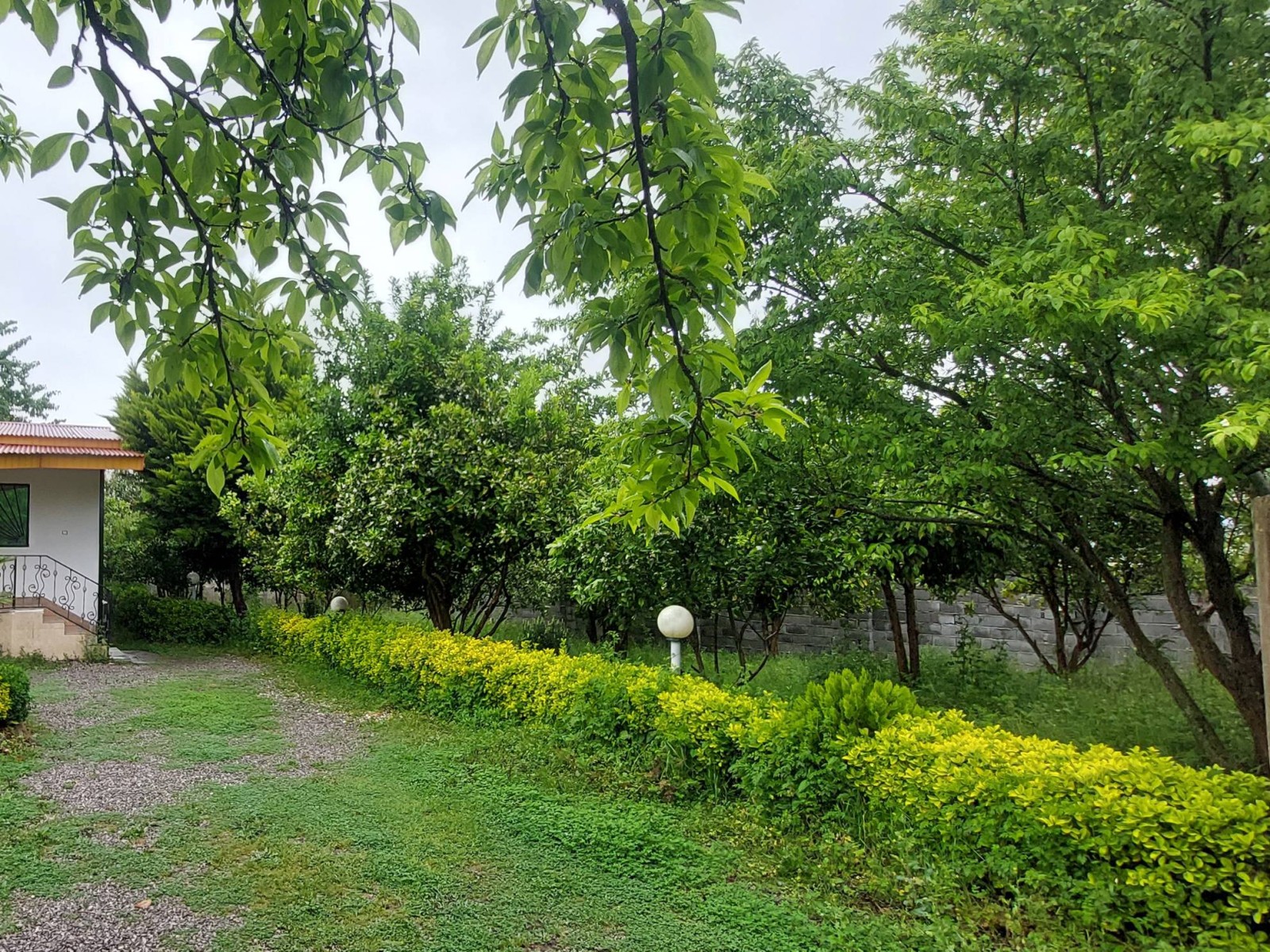 نمای بیرونی ساختمان