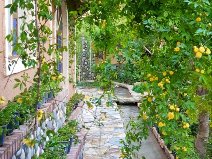 حیاط مجموعه