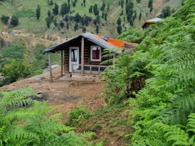 کلبه چوبی ییلاقی بلوط