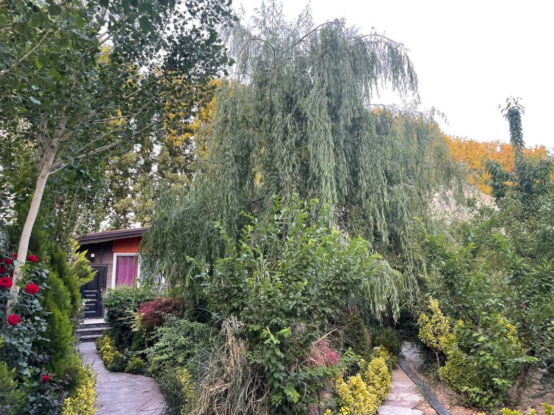 نمای بیرونی ساختمان