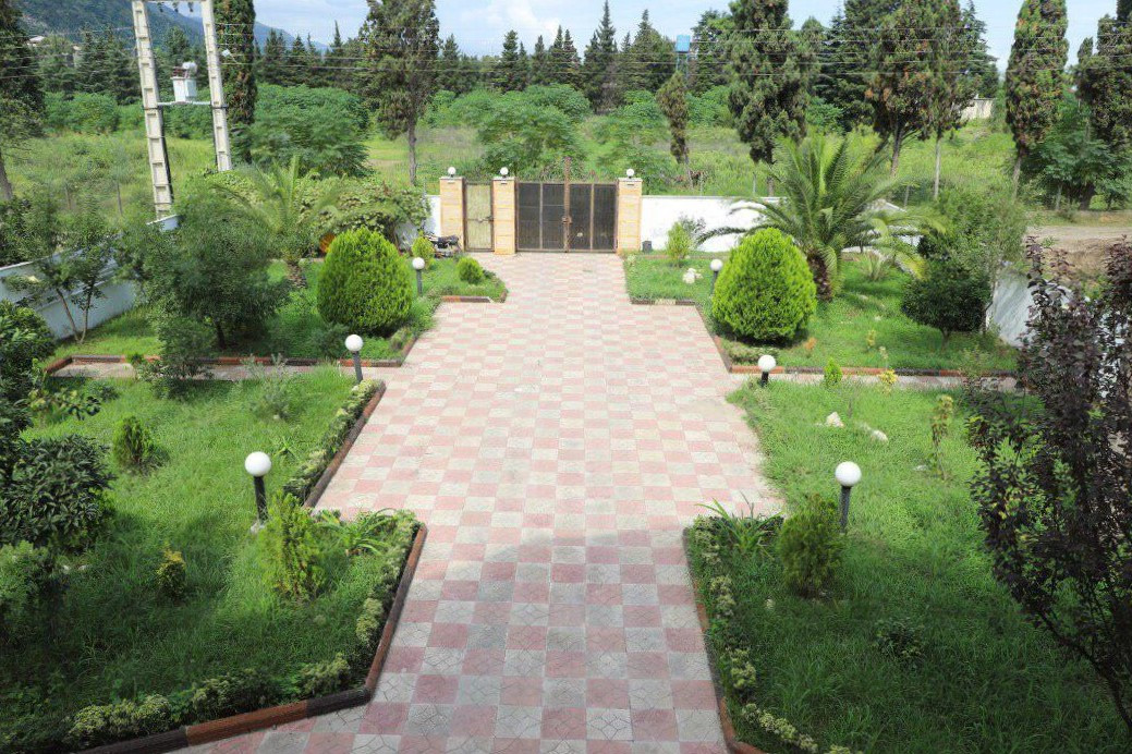 حیاط