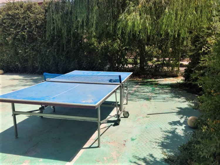 پینگ پنگ پینگ پنگ