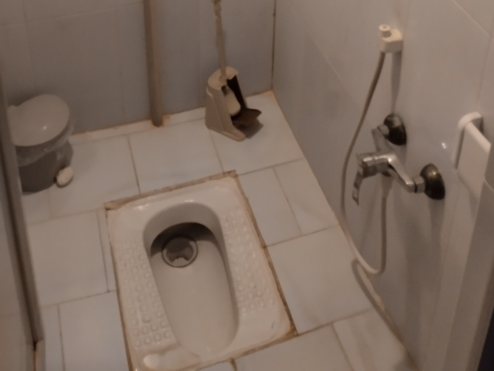 سرویس بهداشتی سنتی وفرنگی سیار