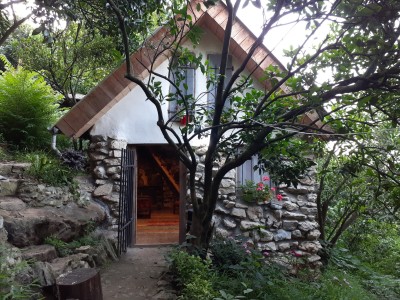 کلبه سنگی و جنگلی حلما