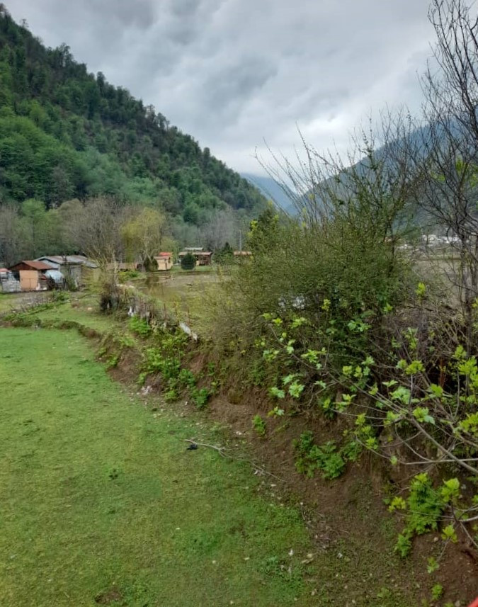 محوطه اطراف اقامتگاه محوطه اطراف اقامتگاه