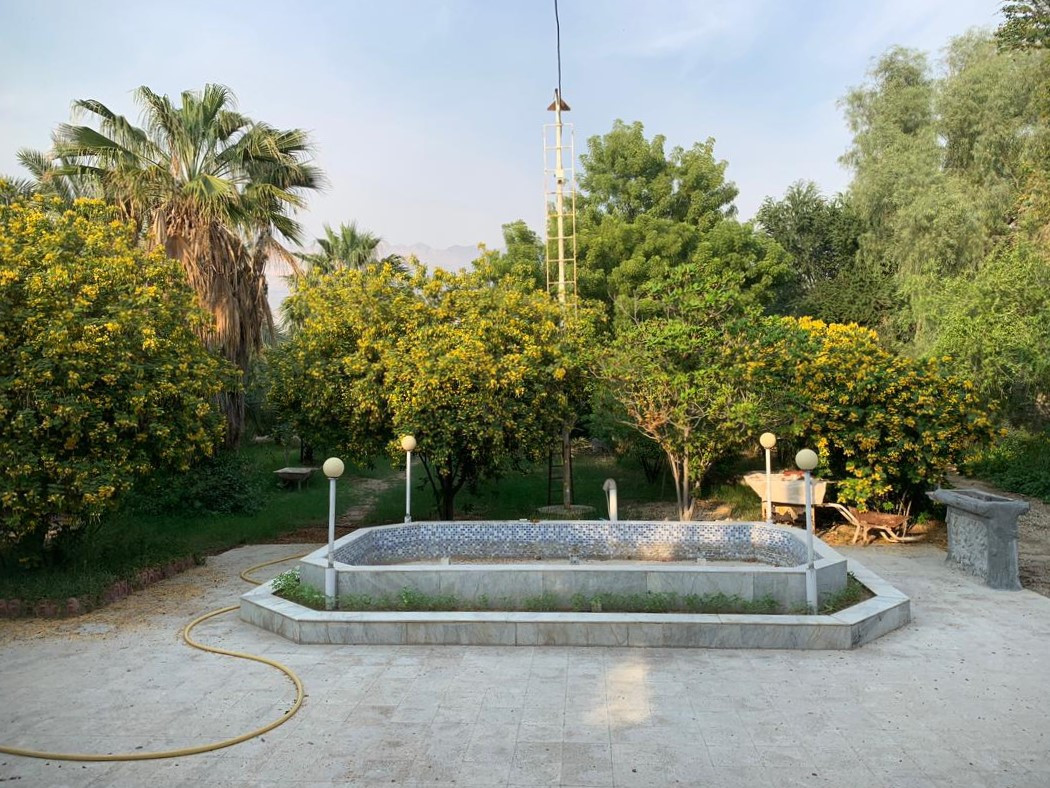 حیاط