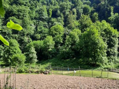 ویلای کوهستانی بیژنگ