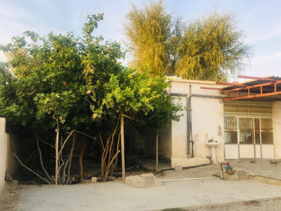 نمای اقامتگاه و حیاط