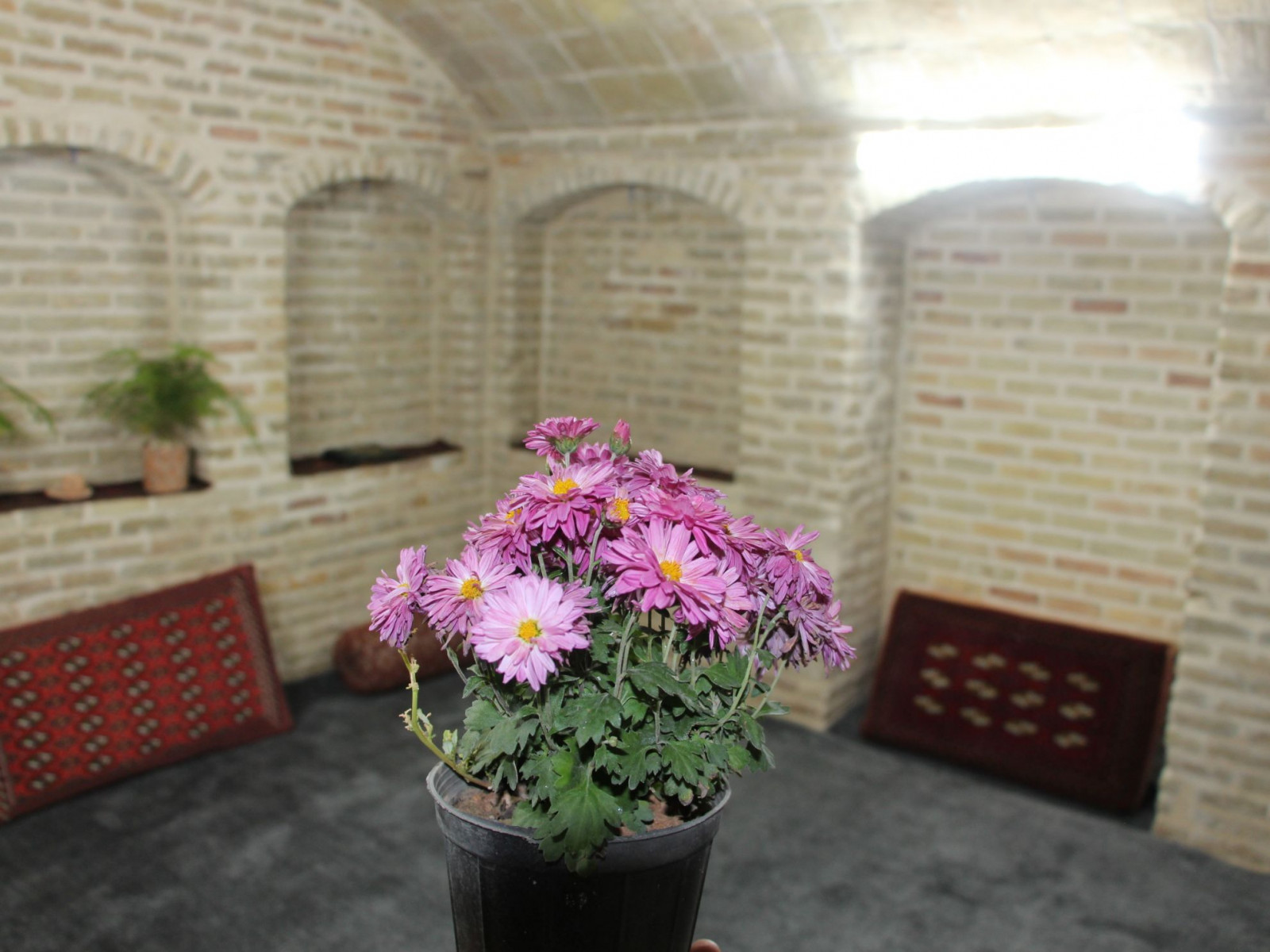 اتاق پذیرایی اتاق پذیرایی