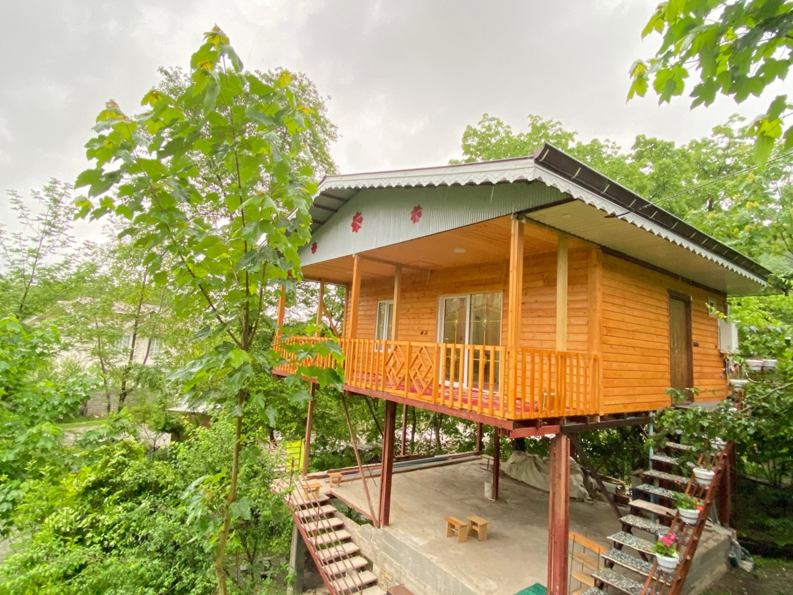 کلبه با ویوی سبز و جنگلی درختان