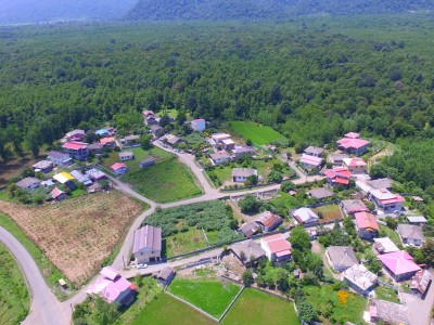 ویلای تک خوابه جنگلی