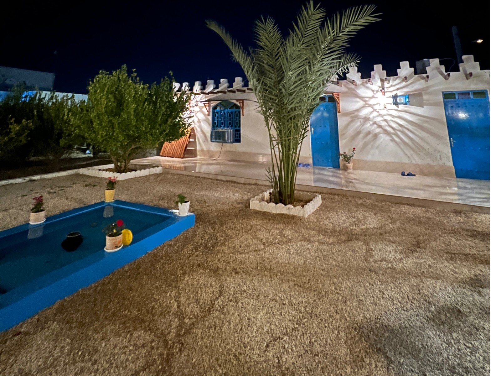 حیاط