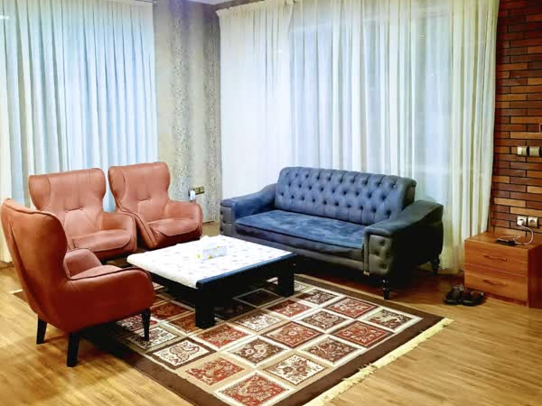 نمای مبلمان سالن