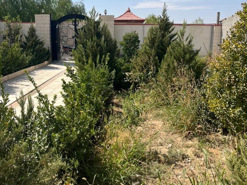 محوطه محوطه