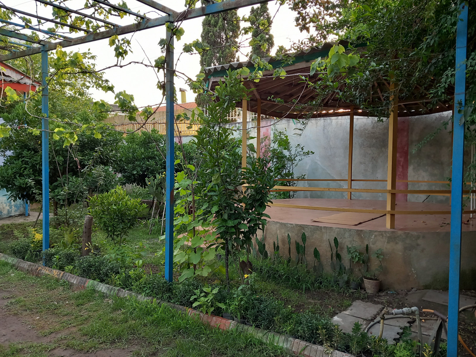 حیاط