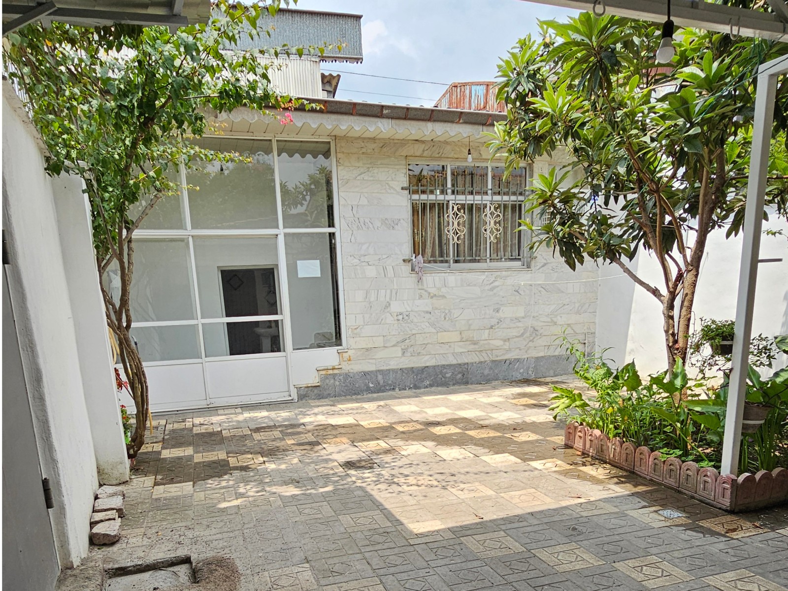 حیاط