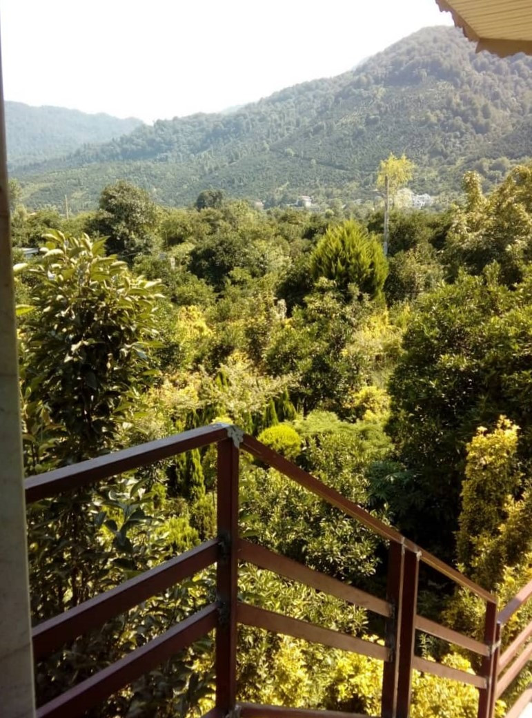 راهپله منتهی به واحد راهپله منتهی به واحد