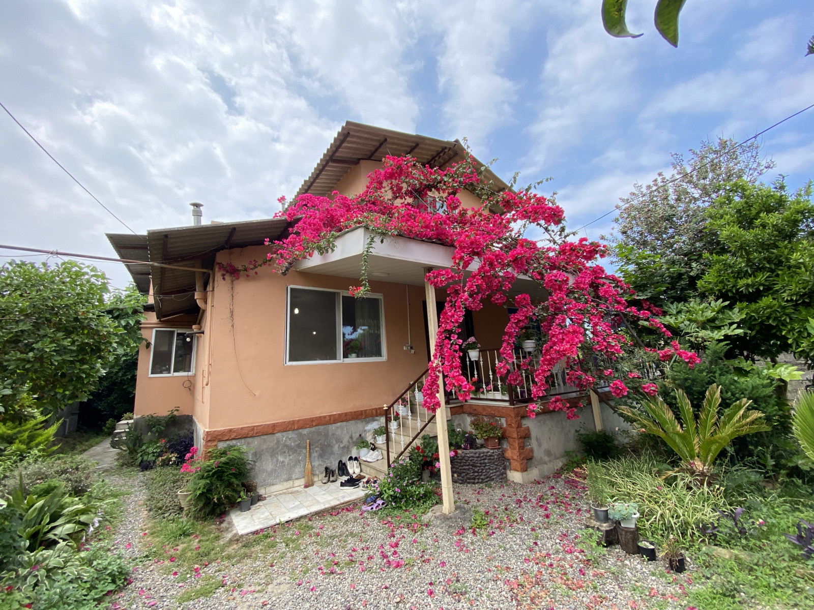 نمای کلی ویلا نمای کلی ویلا