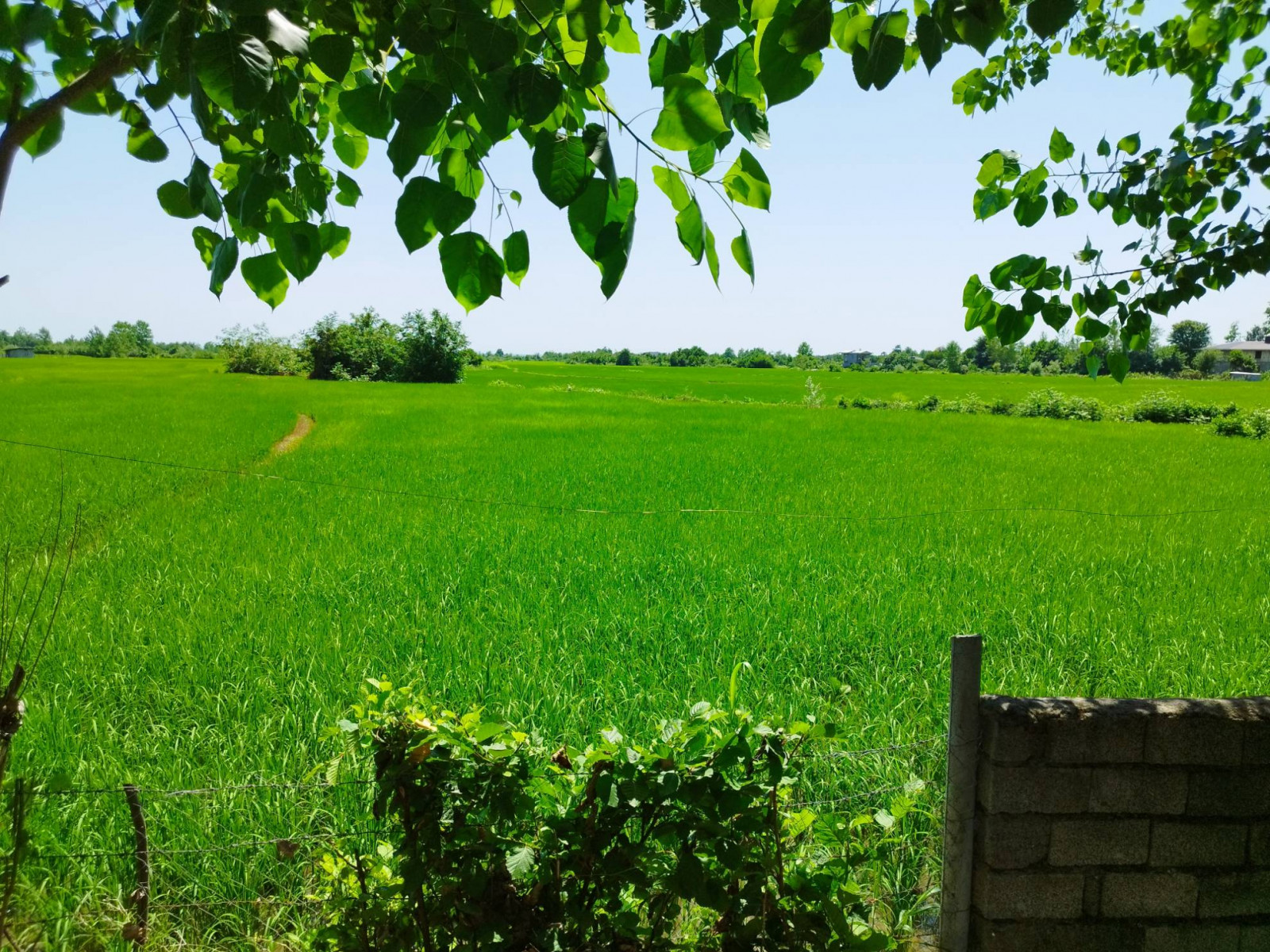 نمای روی ایوان جلو سالن نمای روی ایوان جلو سالن
