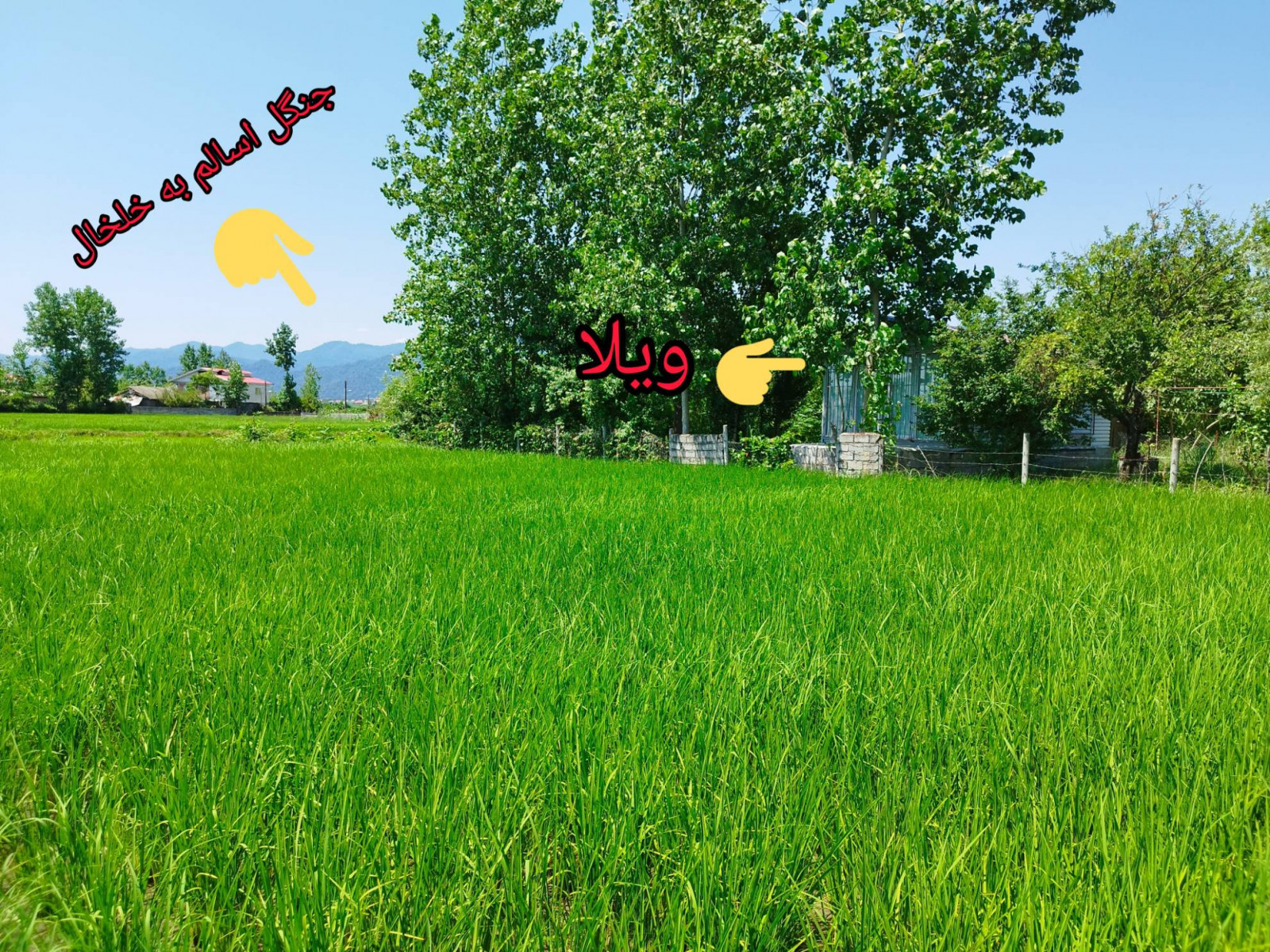 موقعیت تصویری موقعیت تصویری