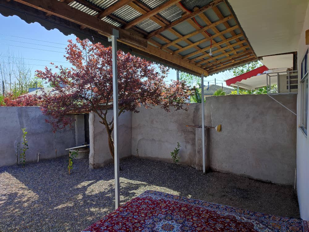 نمای حیاط