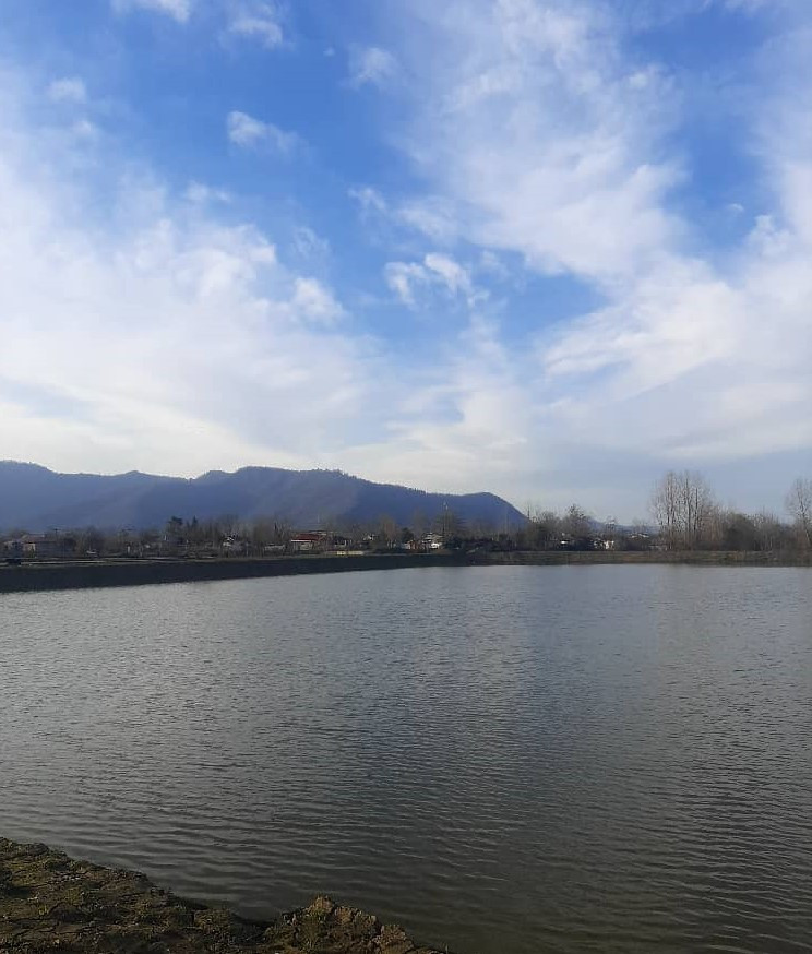 محوطه اطراف اقامتگاه