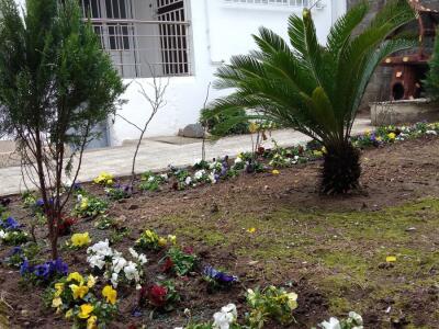 ویلای دو خوابه آویژه