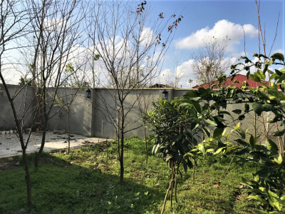 سوئیت نقلی در حیاطی دنج و آرامش‌بخش