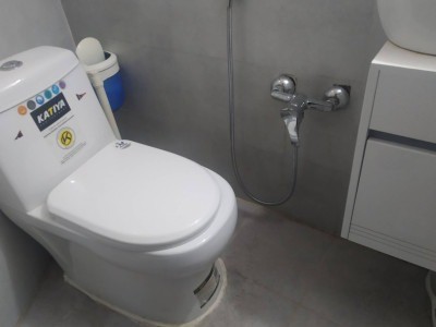 سرویس بهداشتی