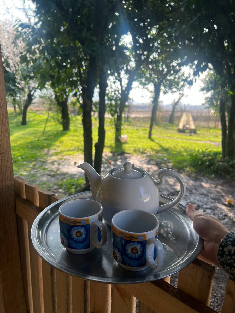نمای تراس رو به باغ