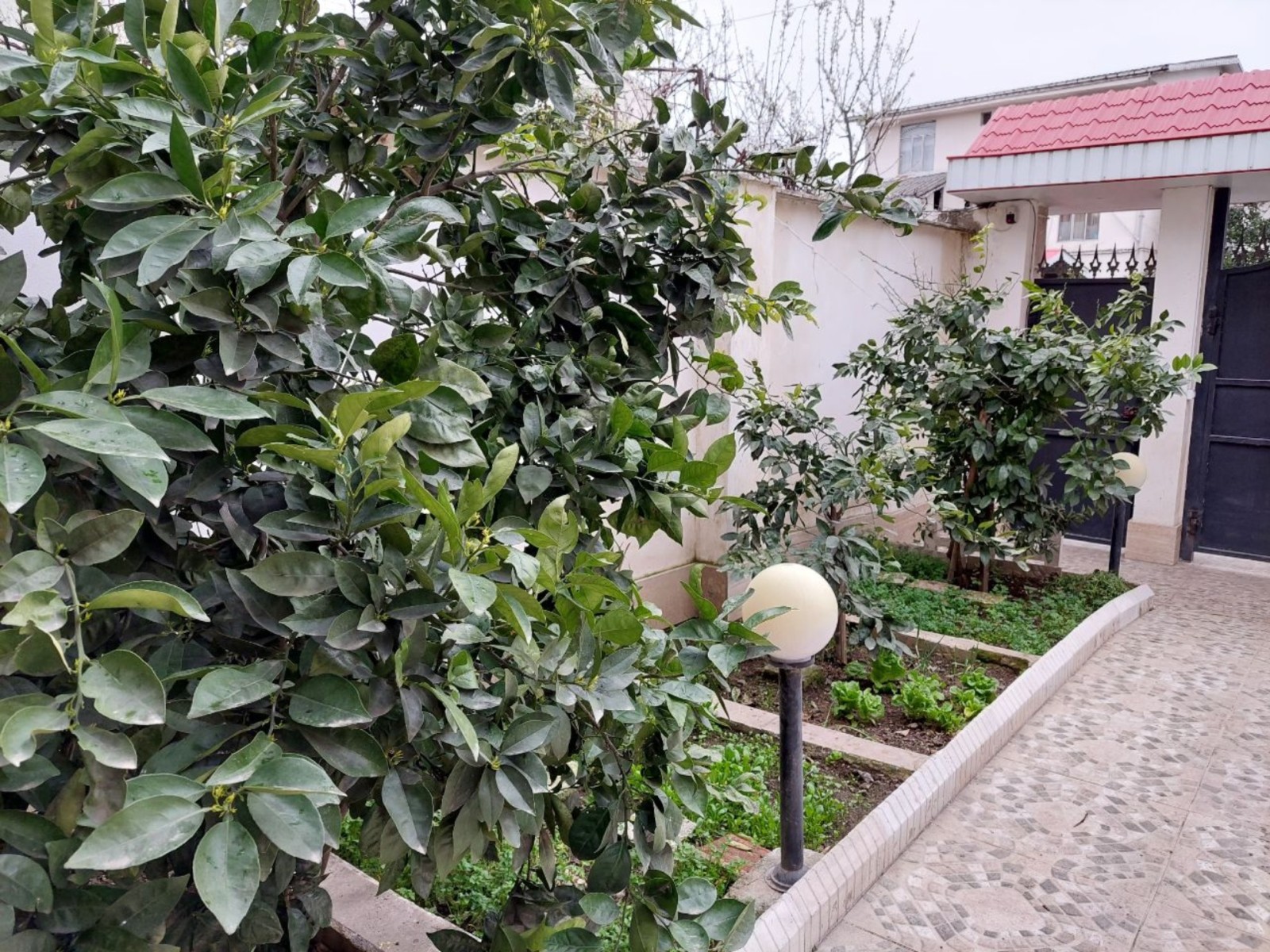 نمای بیرونی ساختمان
